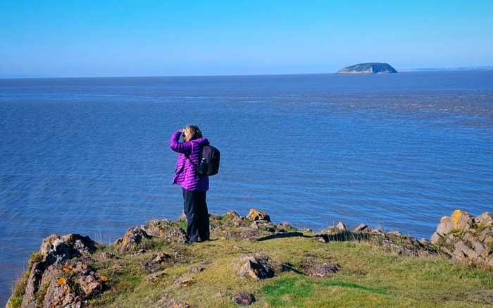 Free Guided Walks 2026